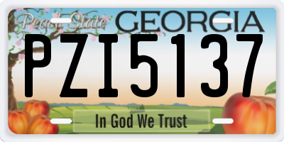 GA license plate PZI5137
