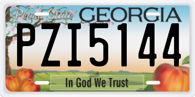 GA license plate PZI5144