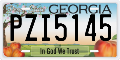 GA license plate PZI5145