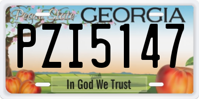 GA license plate PZI5147