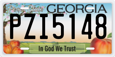 GA license plate PZI5148