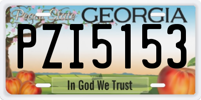 GA license plate PZI5153