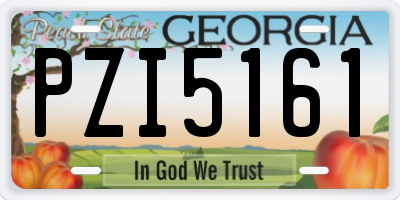 GA license plate PZI5161