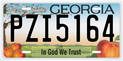 GA license plate PZI5164