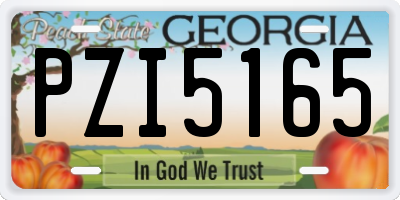 GA license plate PZI5165