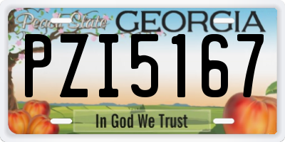GA license plate PZI5167