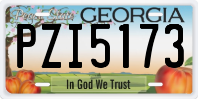 GA license plate PZI5173
