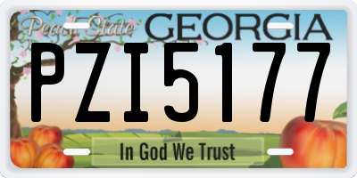 GA license plate PZI5177
