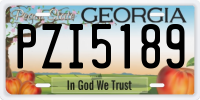 GA license plate PZI5189