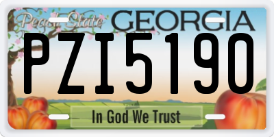 GA license plate PZI5190