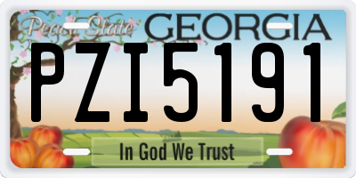GA license plate PZI5191