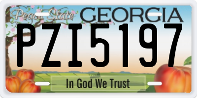 GA license plate PZI5197