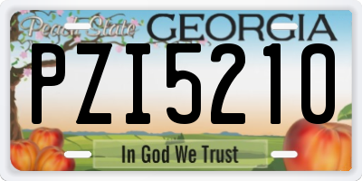 GA license plate PZI5210