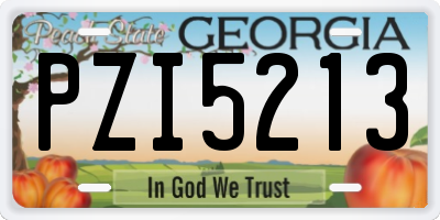 GA license plate PZI5213