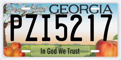 GA license plate PZI5217