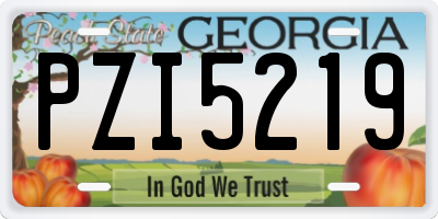 GA license plate PZI5219