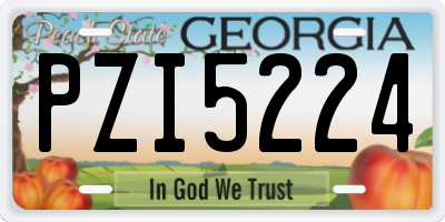 GA license plate PZI5224
