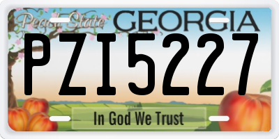 GA license plate PZI5227