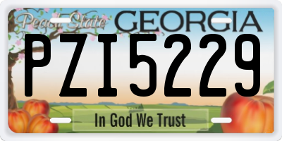 GA license plate PZI5229