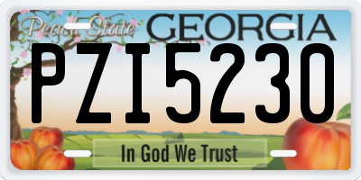 GA license plate PZI5230