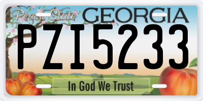 GA license plate PZI5233