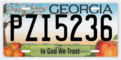 GA license plate PZI5236