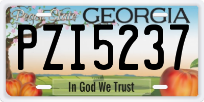 GA license plate PZI5237