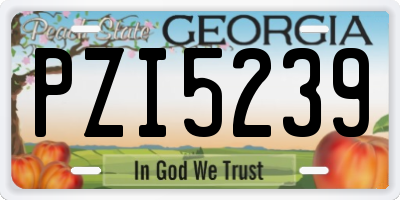 GA license plate PZI5239