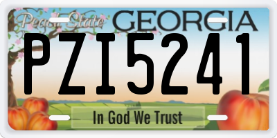 GA license plate PZI5241