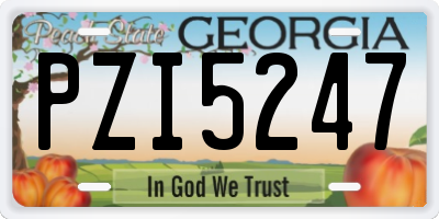 GA license plate PZI5247