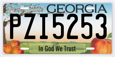 GA license plate PZI5253