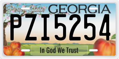 GA license plate PZI5254