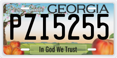 GA license plate PZI5255