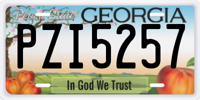 GA license plate PZI5257