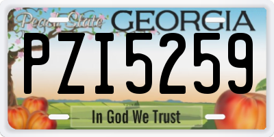 GA license plate PZI5259