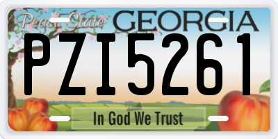 GA license plate PZI5261