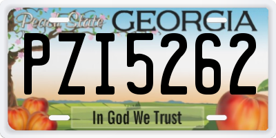 GA license plate PZI5262