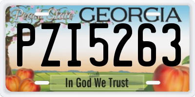 GA license plate PZI5263