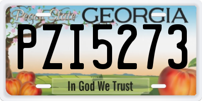 GA license plate PZI5273