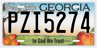 GA license plate PZI5274