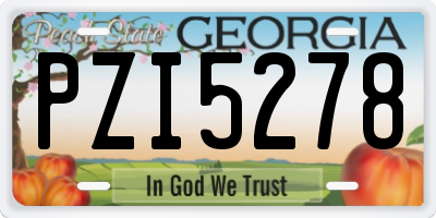 GA license plate PZI5278