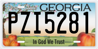 GA license plate PZI5281