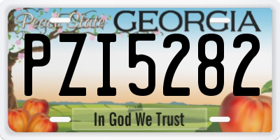 GA license plate PZI5282