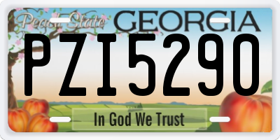 GA license plate PZI5290