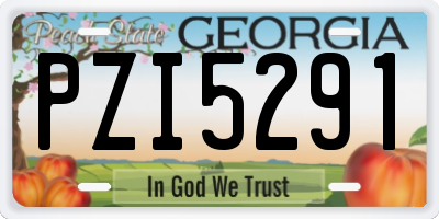 GA license plate PZI5291