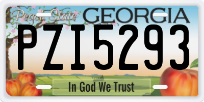 GA license plate PZI5293