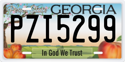 GA license plate PZI5299