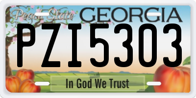 GA license plate PZI5303