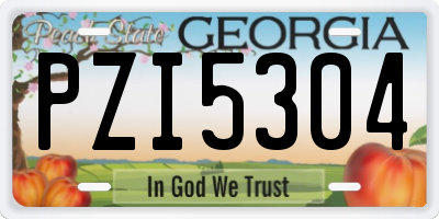 GA license plate PZI5304