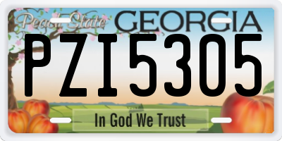 GA license plate PZI5305
